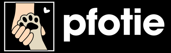 Pfotie Deutschland